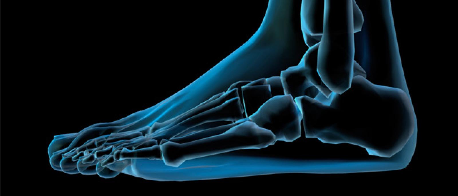 Podiatry services now available